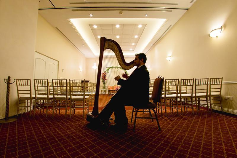 Safi Royal Luxury Valle San Pedro Garza Garcia Exterior foto A harpist playing at a wedding